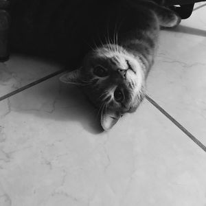 Meet your Posher, Nadiya